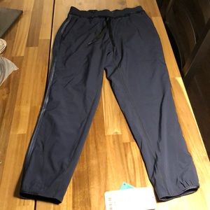 On the go jogger (lined)